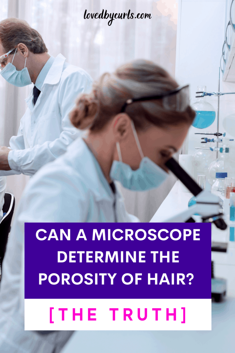 microscope porosity of hair