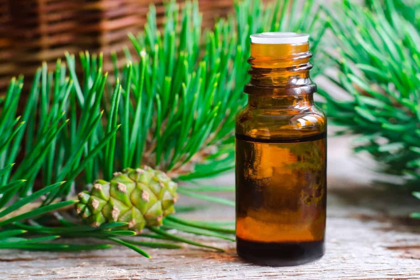 How To Use Pine Tar Oil For Hair