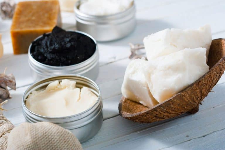 Shea Butter Vs. Coconut Oil For Hair Which Is Better?