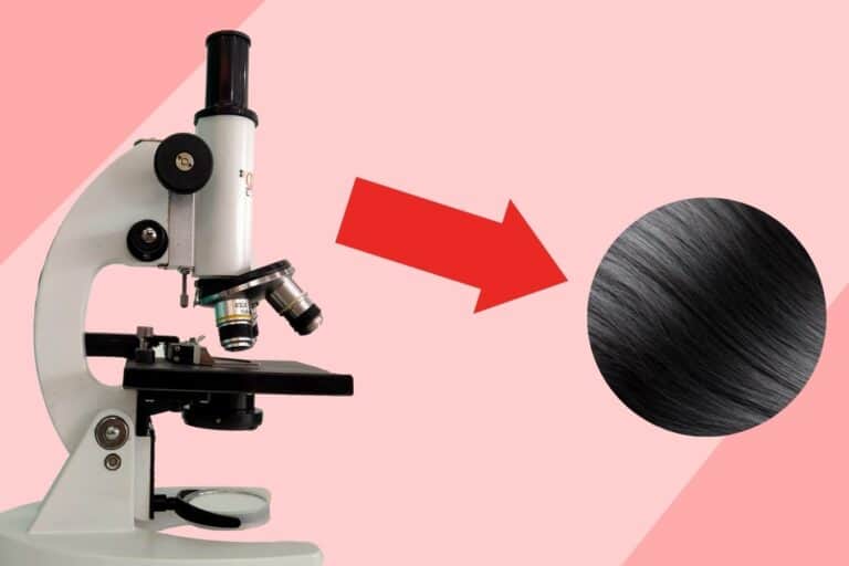 Can A Microscope Determine The Porosity Of Hair