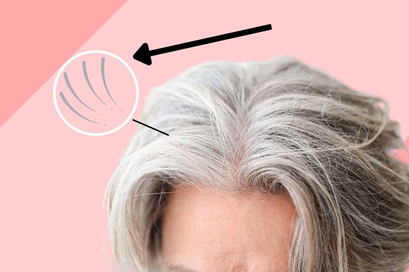How To Stop Grey Hair From Sticking Out