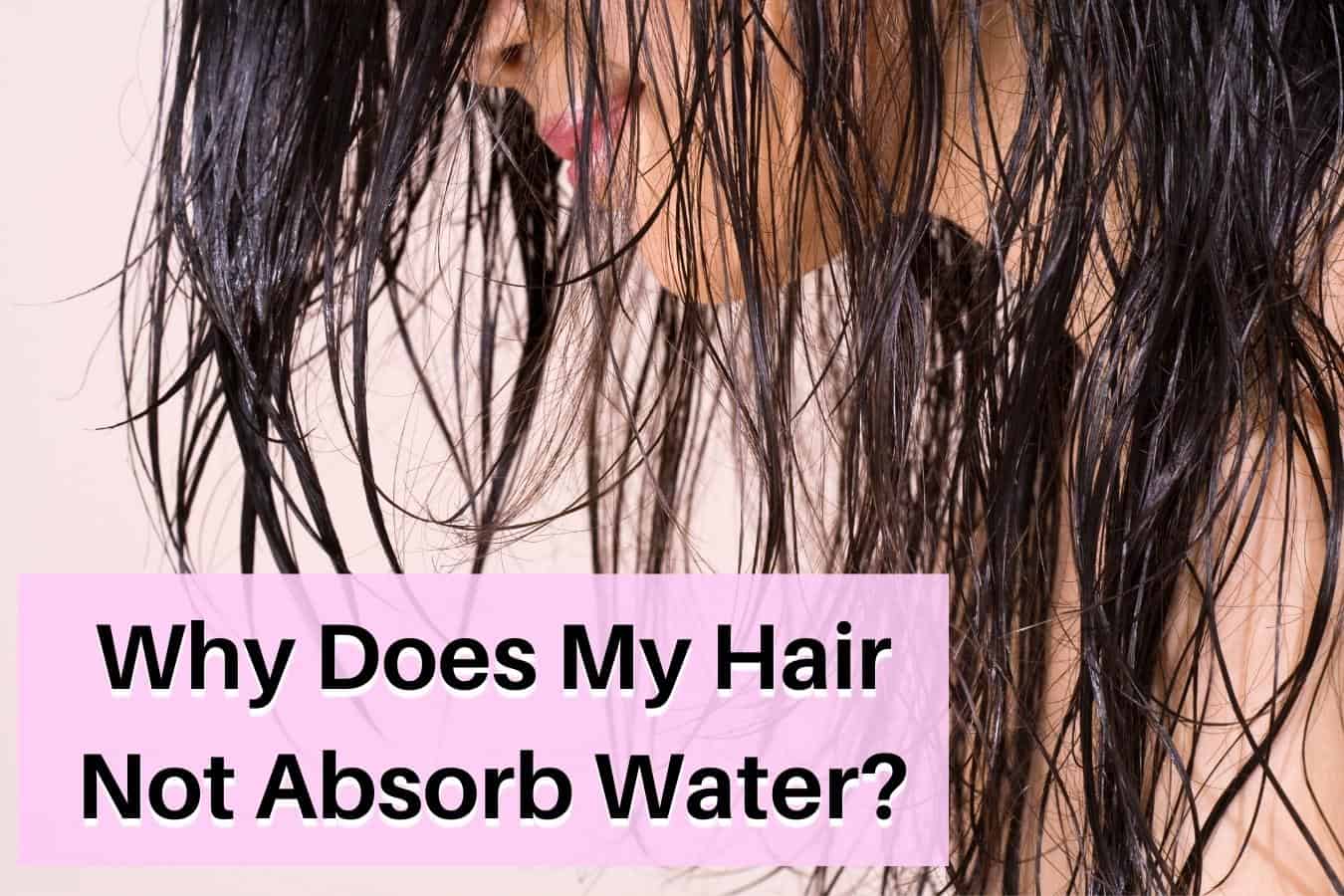 Hair Does Not Absorb Water