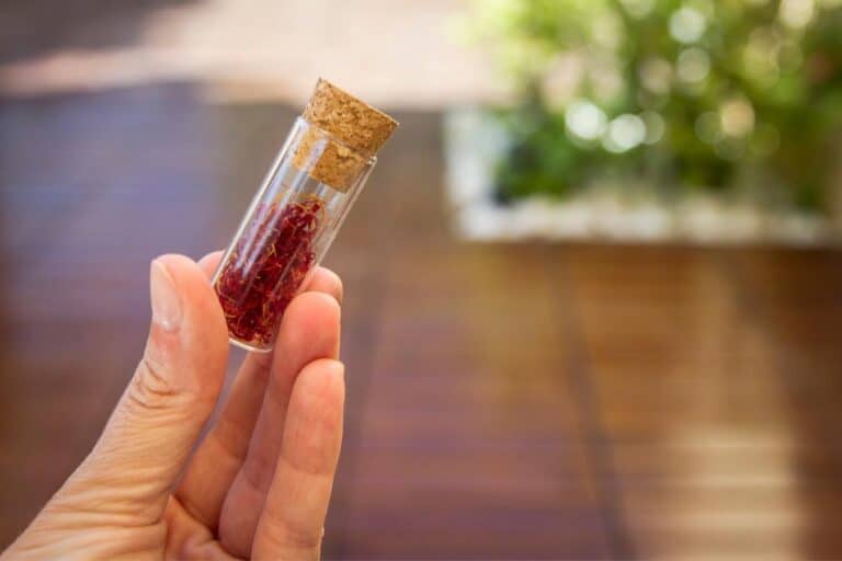 Using Saffron for Hair (12 Amazing Benefits)